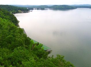 295 River Run Trl, Spring City, TN 37381