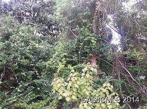 2nd image of Leo St