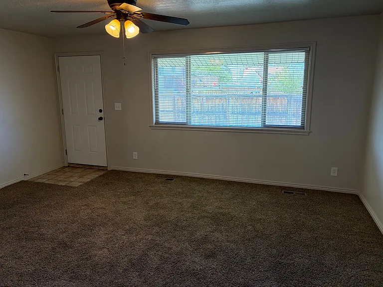 Entry door and the front room