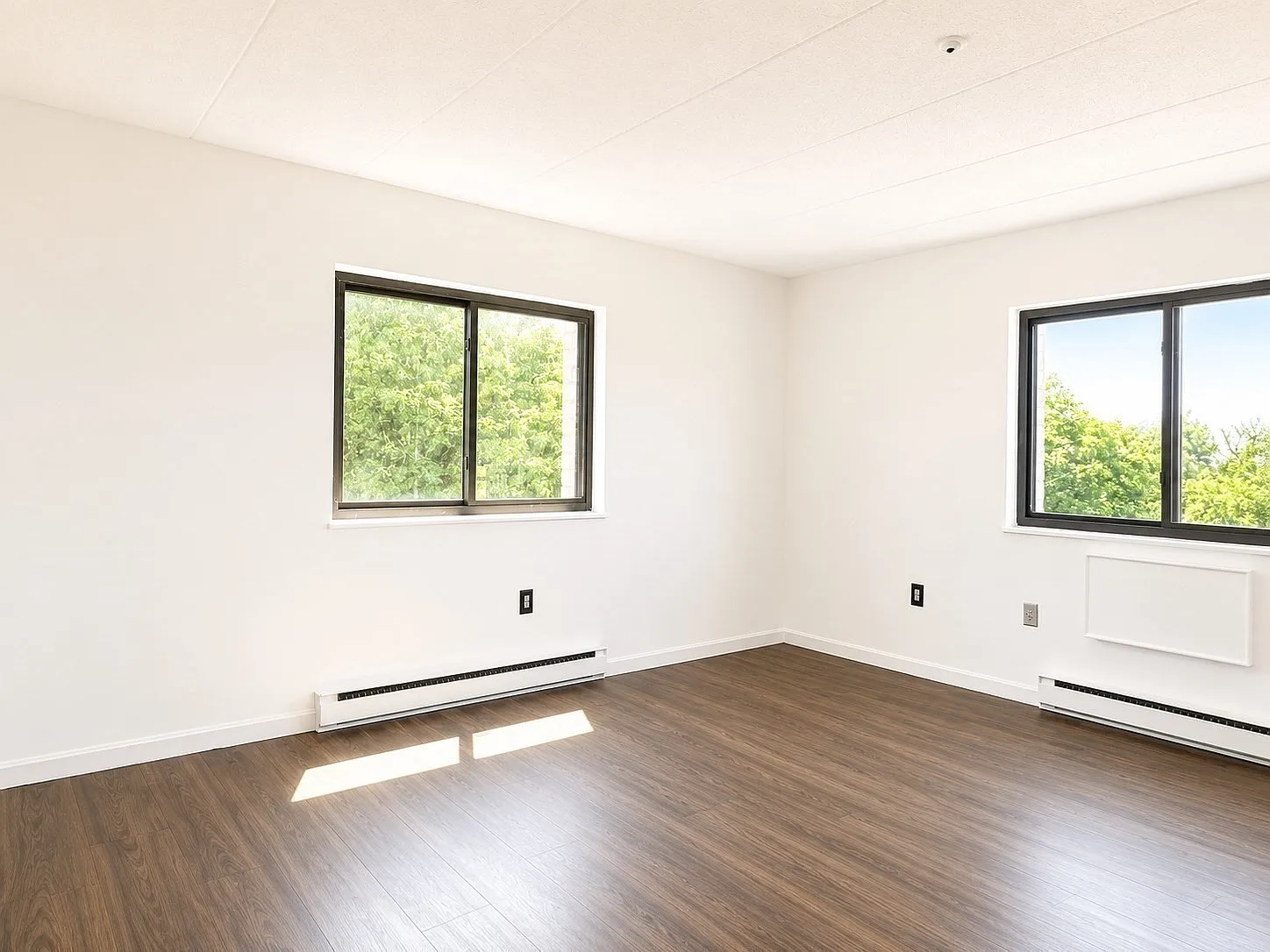 2 bed, 1.5 bath, 880 sqft, $2,300 — Photo 3