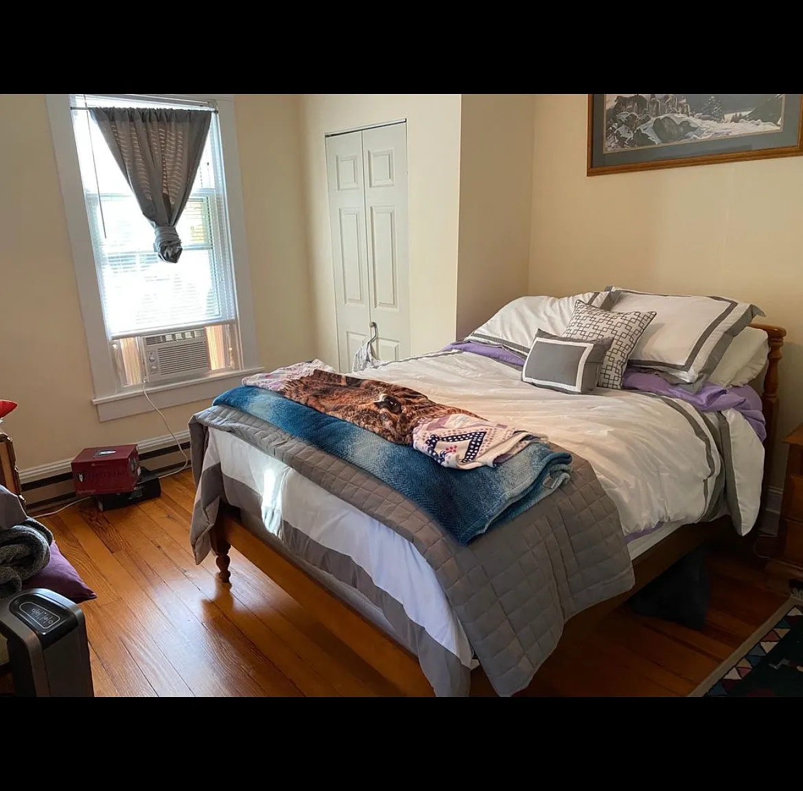 1 bed, 800 sqft, $1,250 — Photo 1