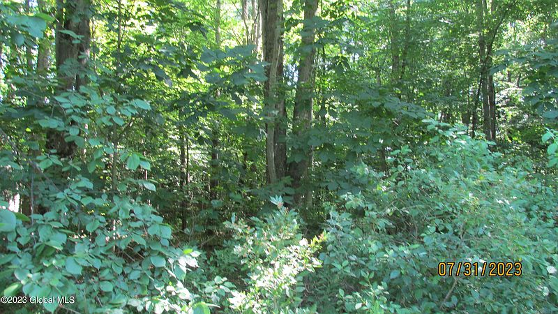 5th image of 005 Strevy Lane