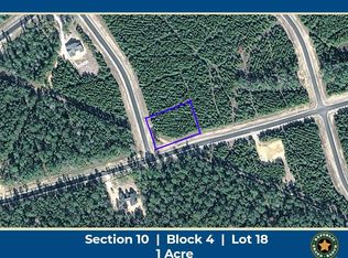 15797 Forest Grove Dr Lot 18, Willis, TX 77378
