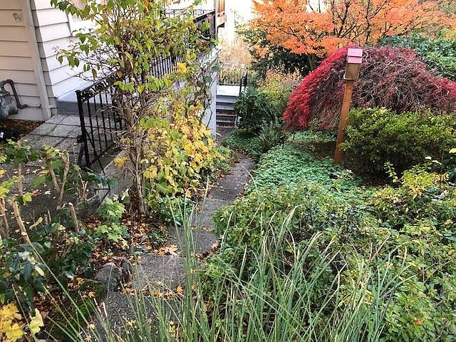 Garden path to unit