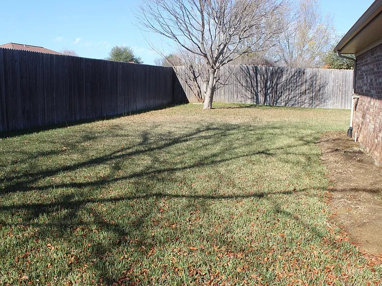 Back yard