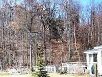 1st image of 913 Center Dr
