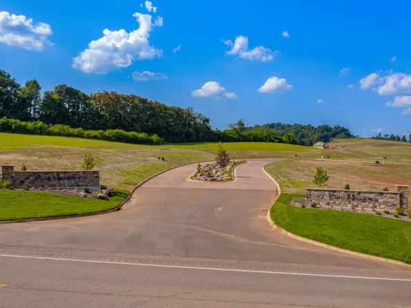 36 Meadow Vista Way, White Pine, TN 37890