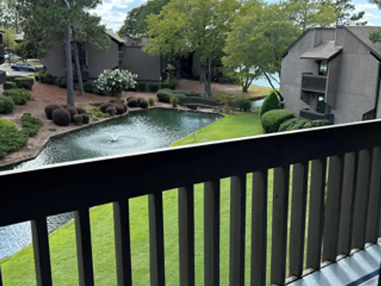 250 Sugar Gum Ln #229 — Photo 4