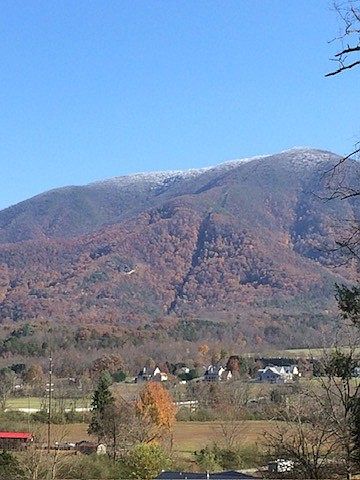 1st image of 3702 Wears Valley Rd