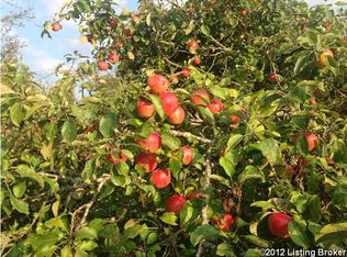 1194 Adkins Rd, Rineyville, KY 40162