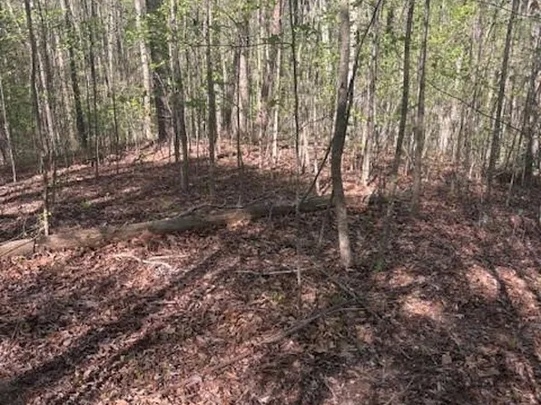 0 Heatherwood Way, Talking Rock, GA 30175