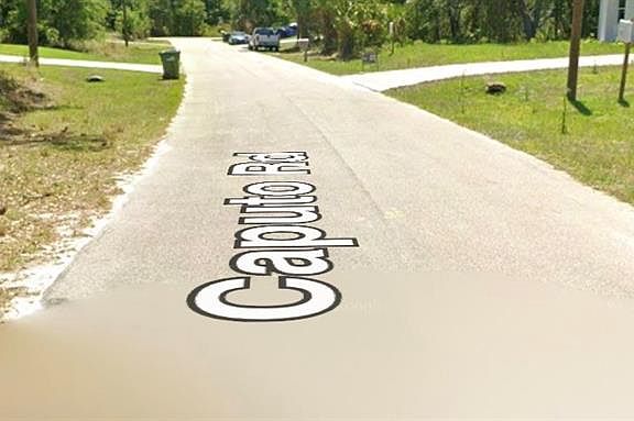 5th image of CAPUTO AVENUE LOT 5
