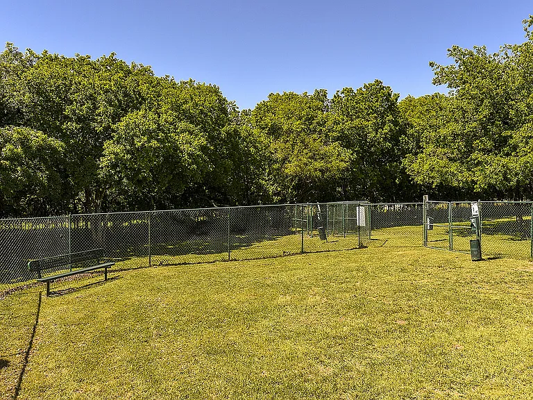 Dog Park