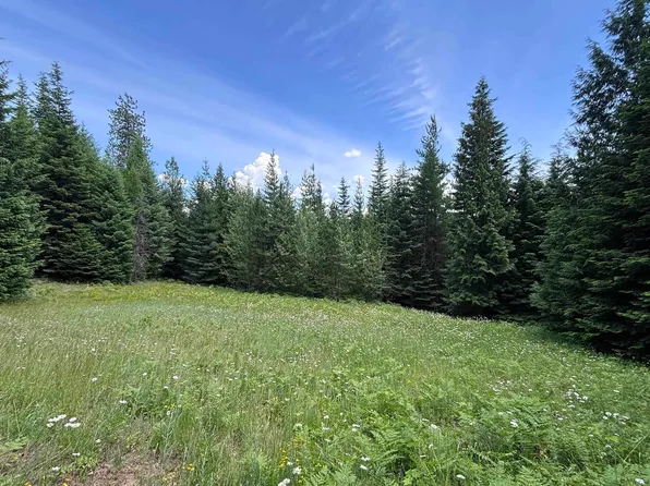 1046 Saddleback Dr, Naples, ID 83847