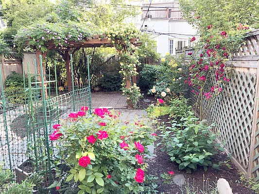 Rented by Southfacing Realty, LLC | media 21