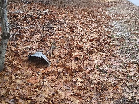 2nd image of 8207 Athena Ln