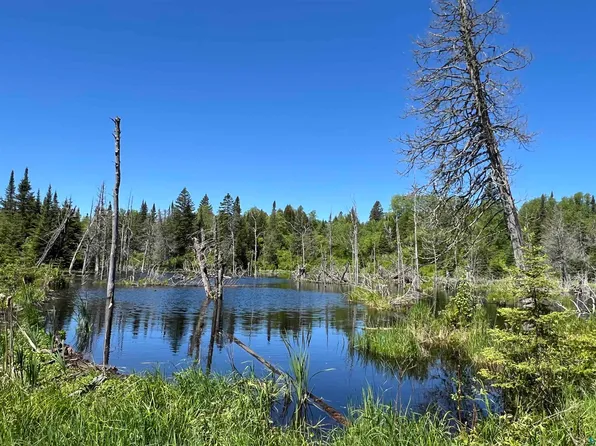 Xxx1 Heffelfinger Trl, Silver Bay, MN 55614