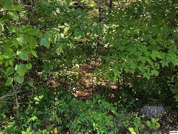5th image of 5657 Cove Hollow Rd Lot 56&57
