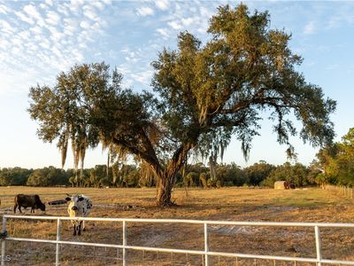 894 Cemetery Rd, Labelle, FL, 33935