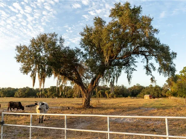 894 Cemetery Rd, Labelle, FL 33935