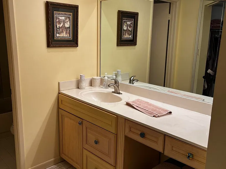 12870 Briarlake Dr #205 — Photo 11