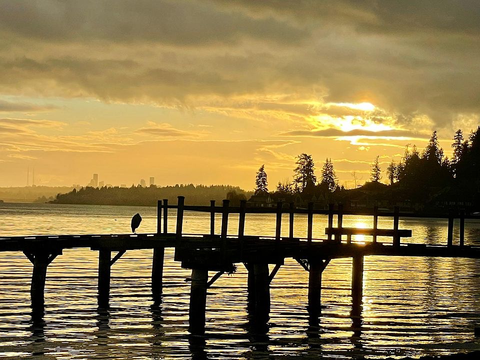 View and wildlife never disappoint!