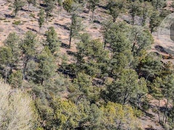 5th image of 1119 N Scenic Dr