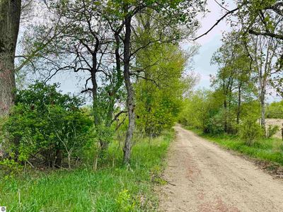 PARCEL B1 W Packingham Rd, Manton, MI, 49663