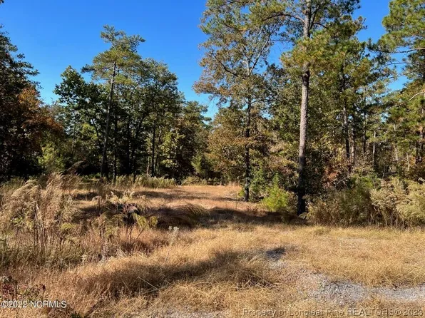 555 Grande Pines Vis, Jackson Springs, NC 27281