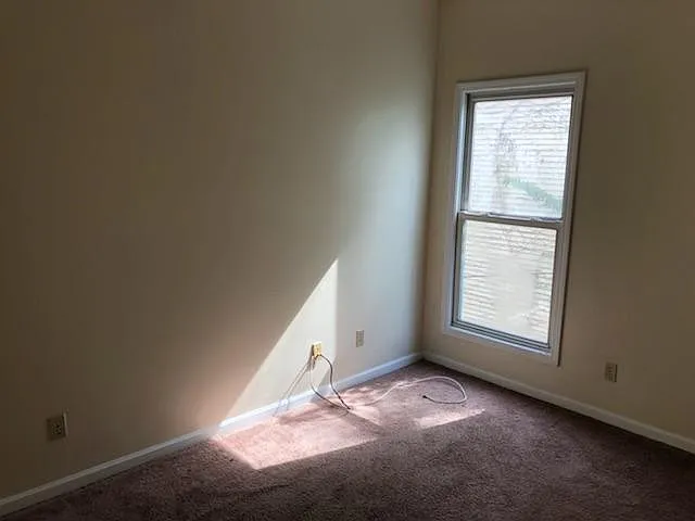 307 Baynes St #7 — Photo 7