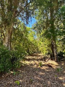 0 S County Road 325 #8, Hawthorne, FL, 32640