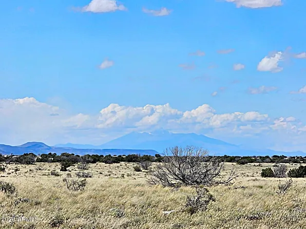 TBD Chev Cyn Ranch #3 Lot 461 -- #461, Heber, AZ 85928