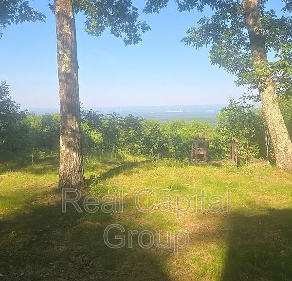 98 Beaver Dam Rd — Photo 37