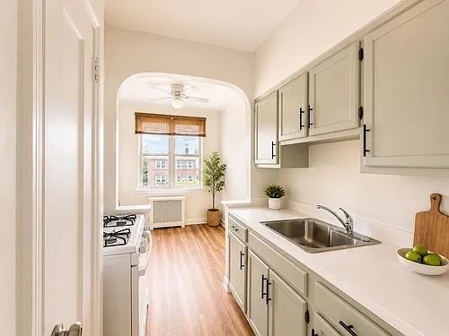 21-56 Steinway St #3 Photo 1
