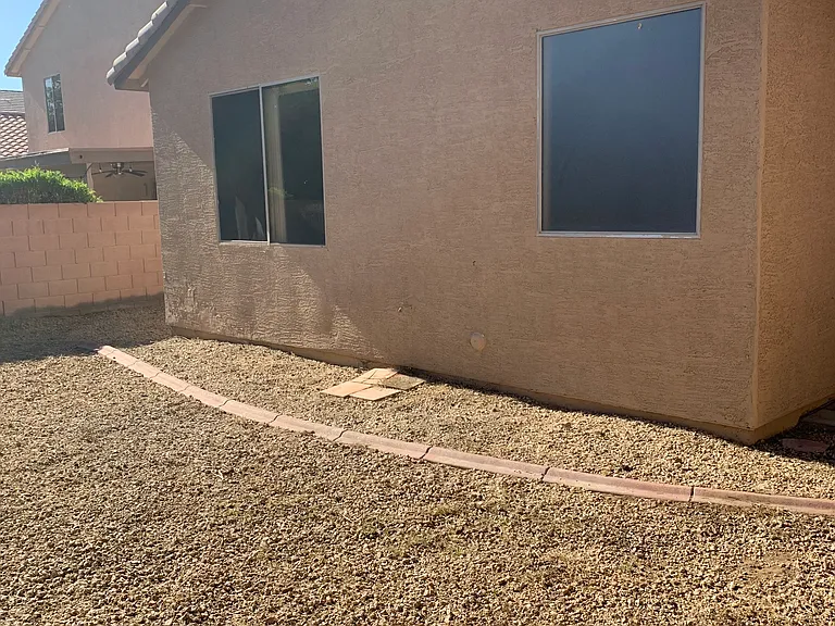 Back yard