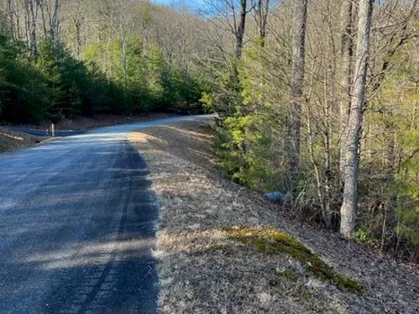 LOT 9 Robert Dr, Ellijay, GA 30536