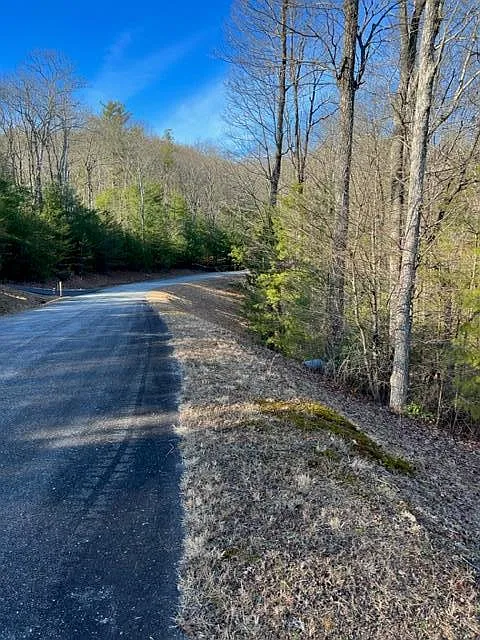LOT 9 Robert Dr photo 1