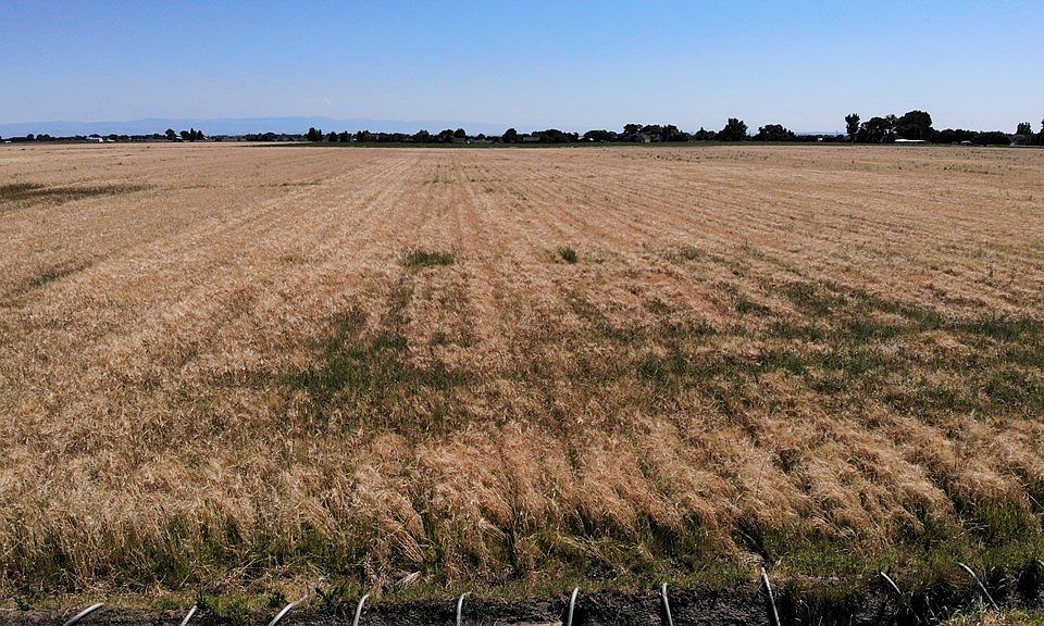 2nd image of TBD Road 11