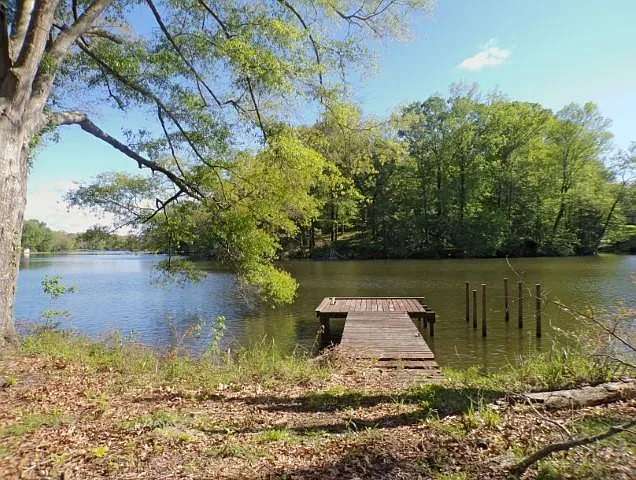 167 Lakeview Dr — Photo 3