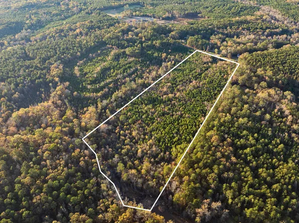0 Puckett Ferry Rd, Cross Hill, SC 29332