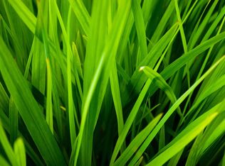 2000 W 3rd St, Marion, IN 46952