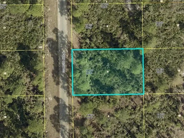 837 Giorgio Ave S, Lehigh Acres, FL 33974