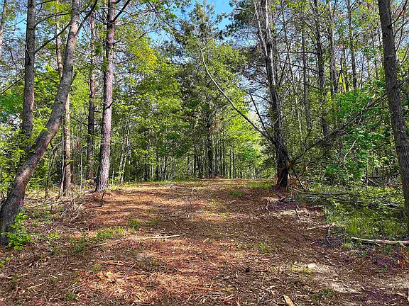 2nd image of 900 Tramel Rd