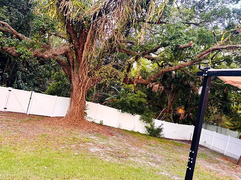 Huge backyard