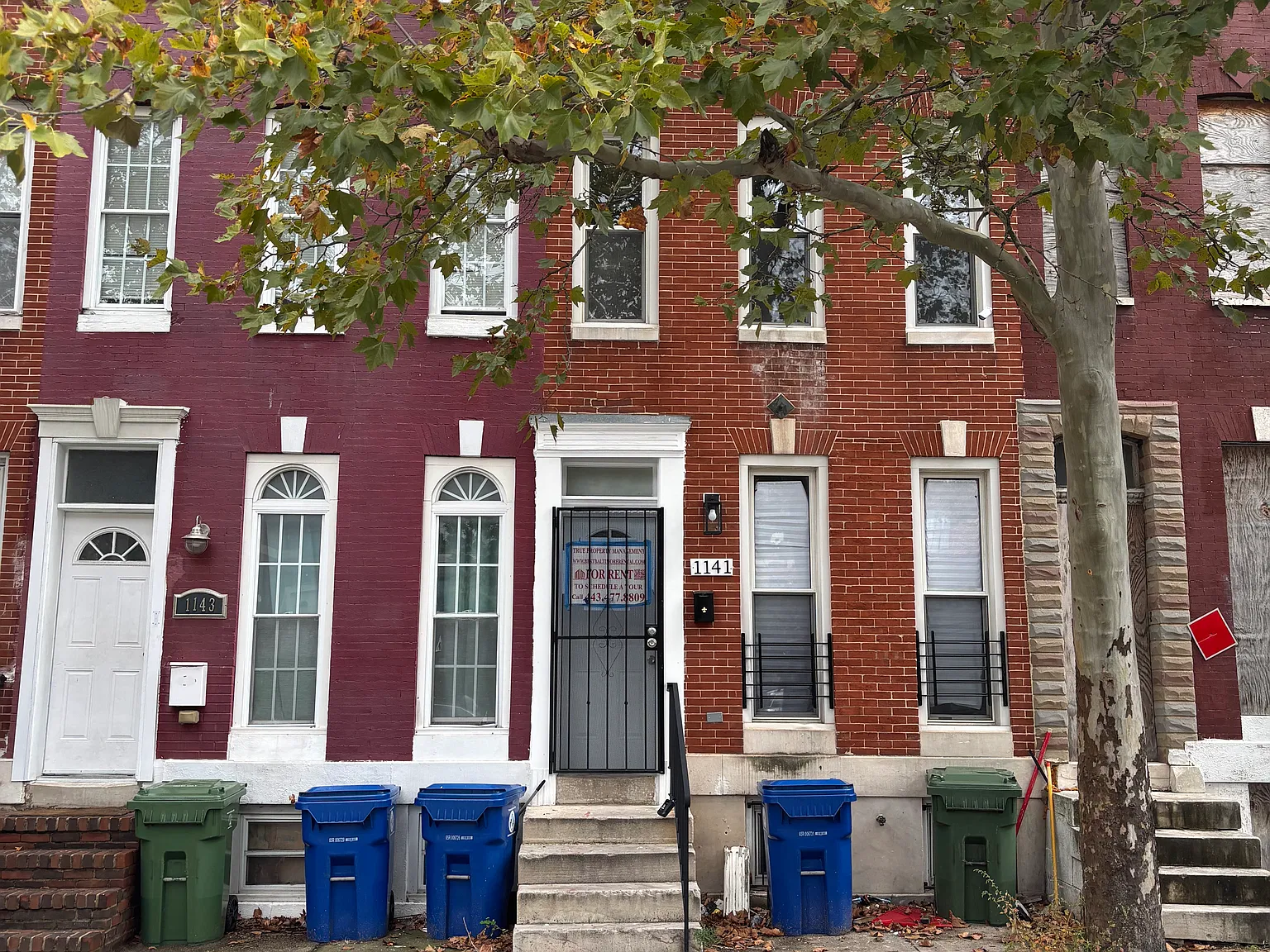 1141 N Mount St — Photo 3