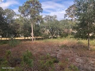 1st image of 2009 Bluefin Terrace SW
