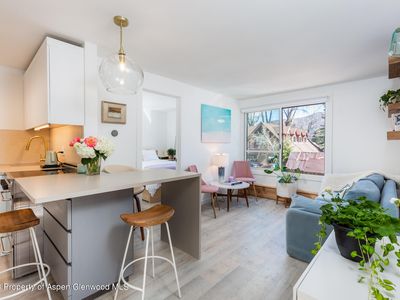 700 W Hopkins Ave #13, Aspen, CO, 81611