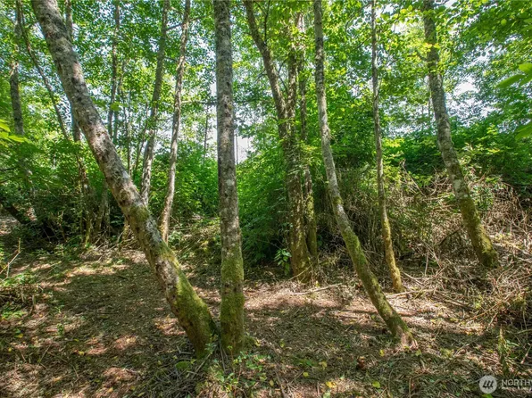 0 XXX Lake Mastie Road, Coupeville, WA 98239