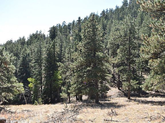 4th image of 796 Matterhorn Cir N