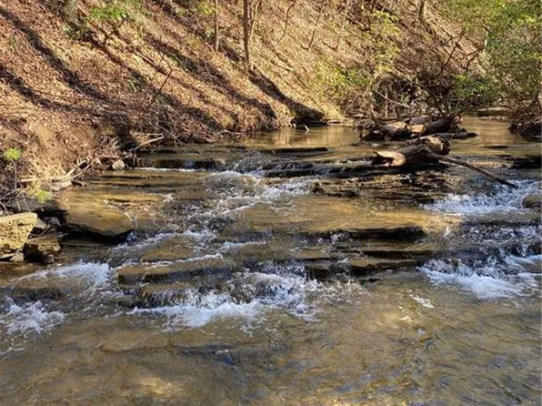 20 Meadowlands Dr #20, Talking Rock, GA 30175